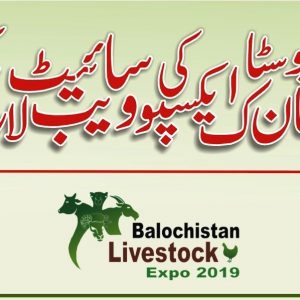 Balochistan Livestock Expo Website