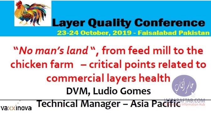 “ No man’s land “, from feed mill to the chicken farm critical points related to commercial layers health