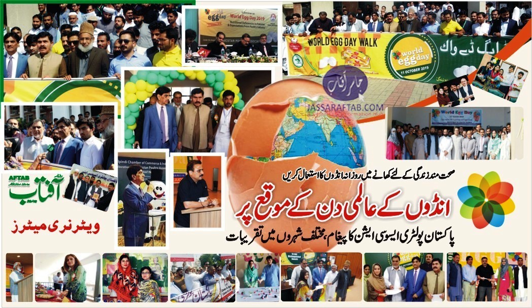 پاکستان کے مختلف شہروں میں انڈوں کا عالمی دن منایا گیا — روزنامہ آفتاب ، ویٹرنری میٹرز