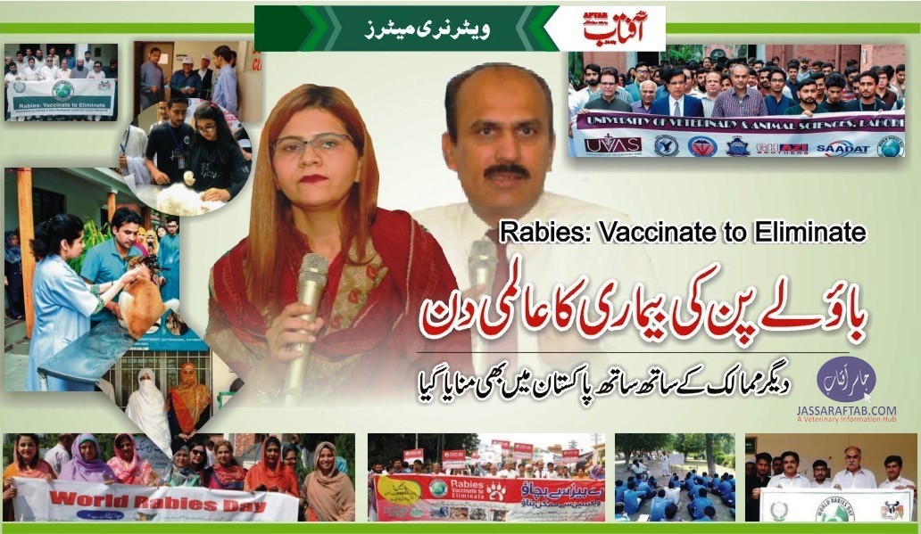 ریبیز نامی بیماری کے عالمی دن کے موقع پر پاکستان میں تقریبات