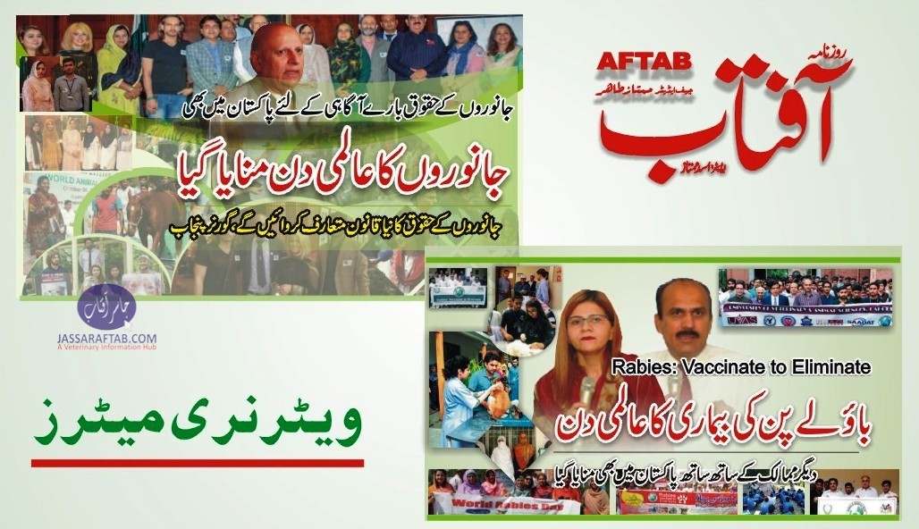 ورلڈ ریبیز ڈے اور ورلڈ اینیمل ڈے  پاکستان میں بھی منایا گیا، خصوصی رپورٹ روزنامہ آفتاب