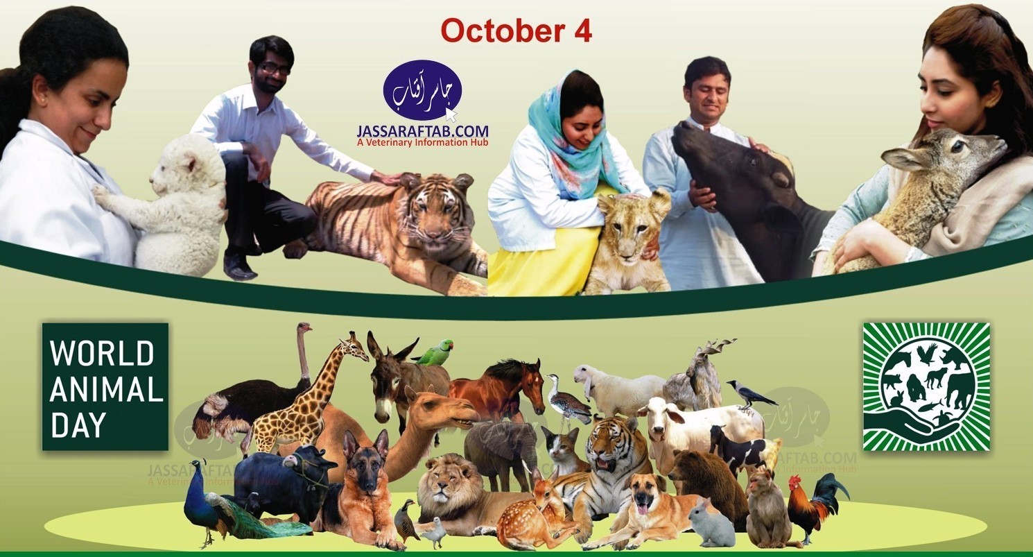 World Animal Day Banner Pakistan