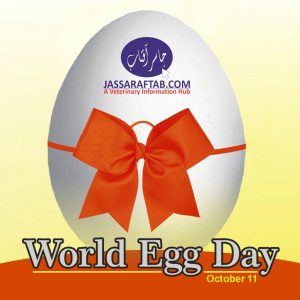 World Egg Day 2019