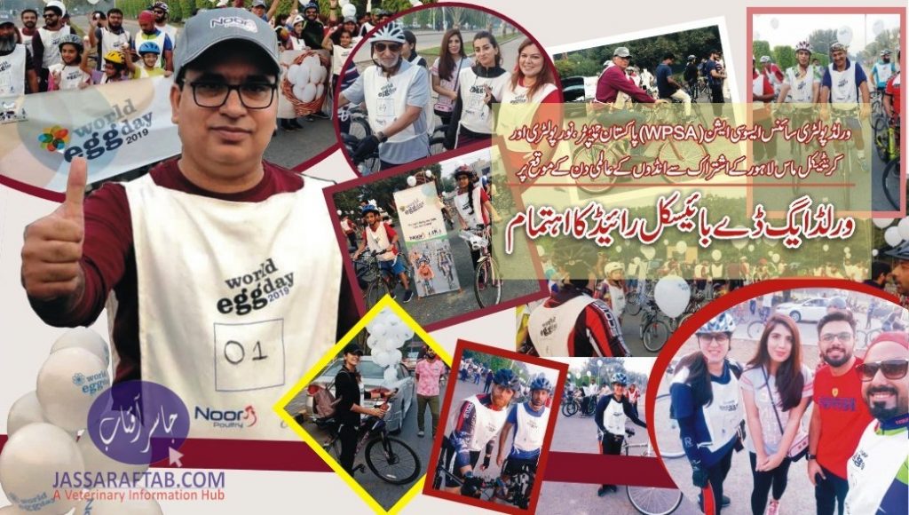 Bicycle Ride Lahore Egg Day