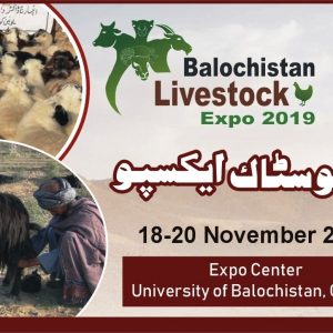 Balochistan Livestock Expo 2019