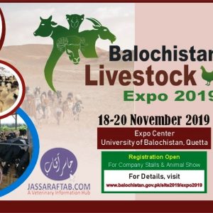 Balochistan Livestock Expo 2019