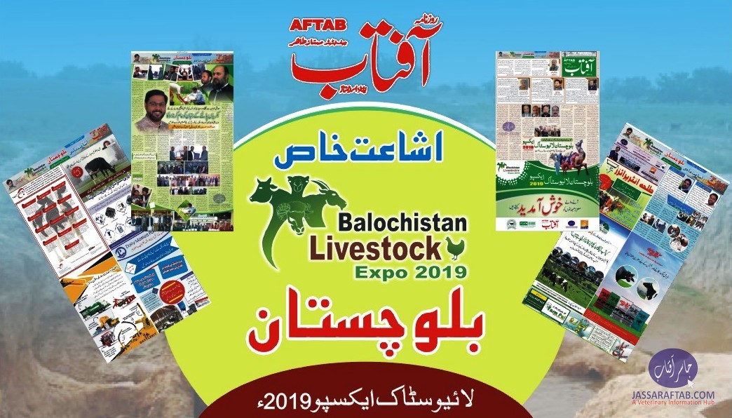 بلوچستان لائیوسٹاک ایکسپو ۔۔ اشاعت خاص، روزنامہ آفتاب