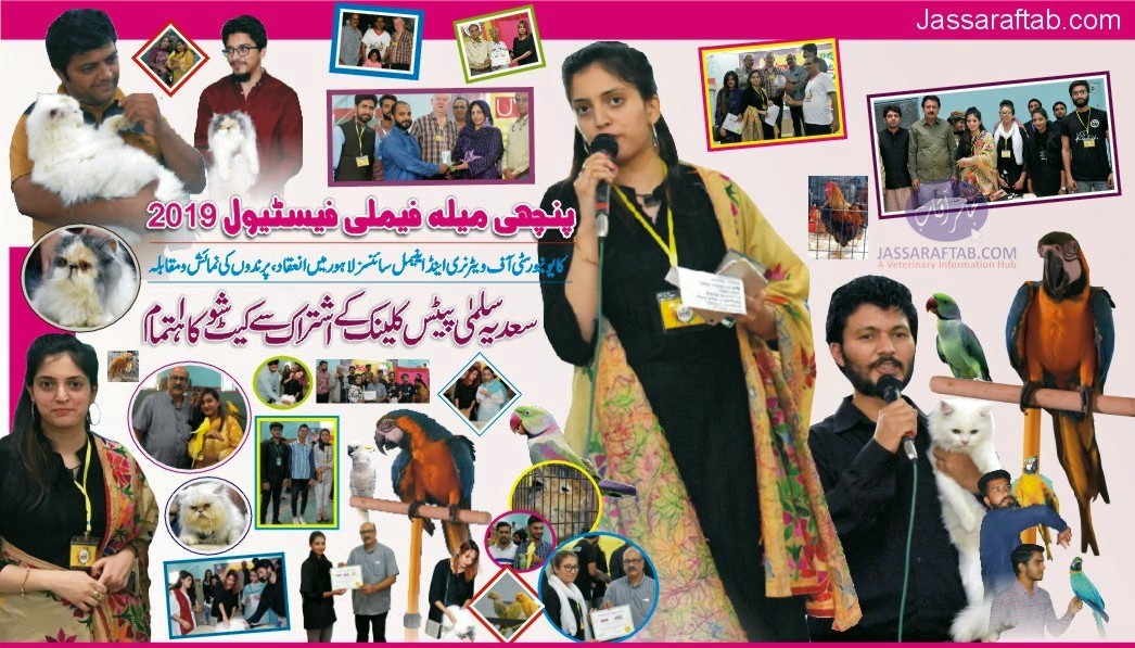 پنچھی میلہ فیملی فیسٹیول کاویٹرنری یونیورسٹی لاہور میں انعقاد