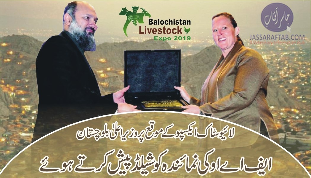 لائیوسٹاک ایکسپو کے موقع پر وزیراعلیٰ بلوچستان نےایف اے اوکی نمائندہ کو شیلڈ پیش کی