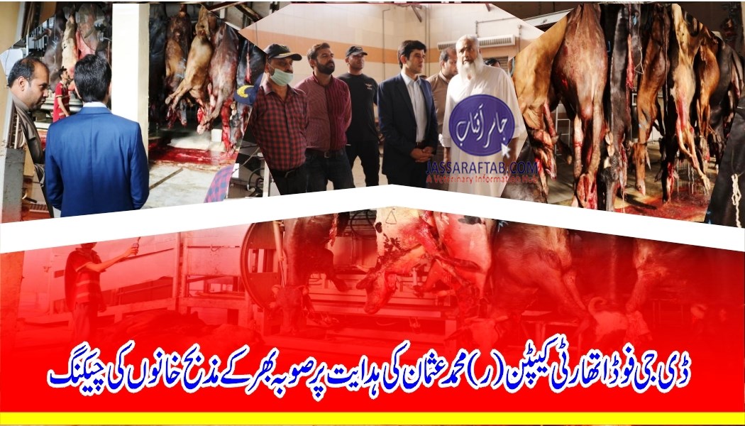 Inspection of slaughter houses in Lahore