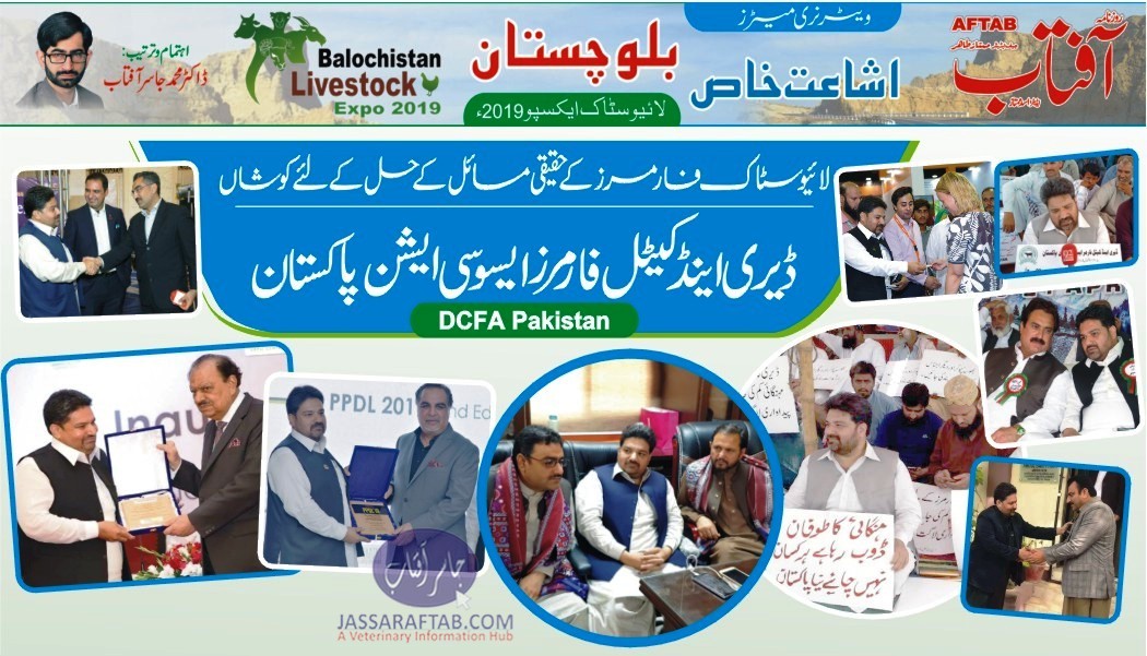 لائیوسٹاک فارمرز کے حقیقی مسائل کے حل کے لئے کوشاں ڈیری اینڈ کیٹل فارمرز ایسوسی ایشن پاکستان