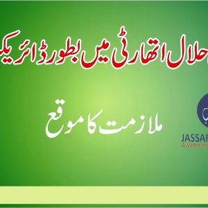 Job of Director general pakistan halal authority