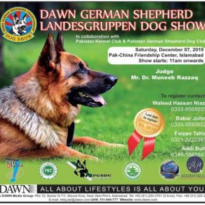 German shepherd dog show