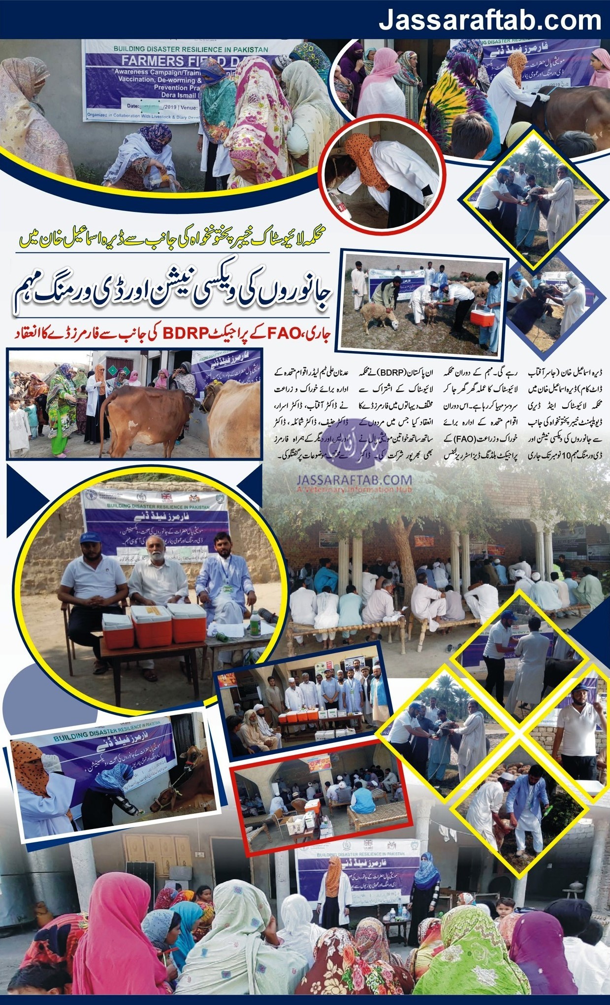 Activities of FAO & L&DD KPK in DI Khan. Vaccination and Deworming of Animals