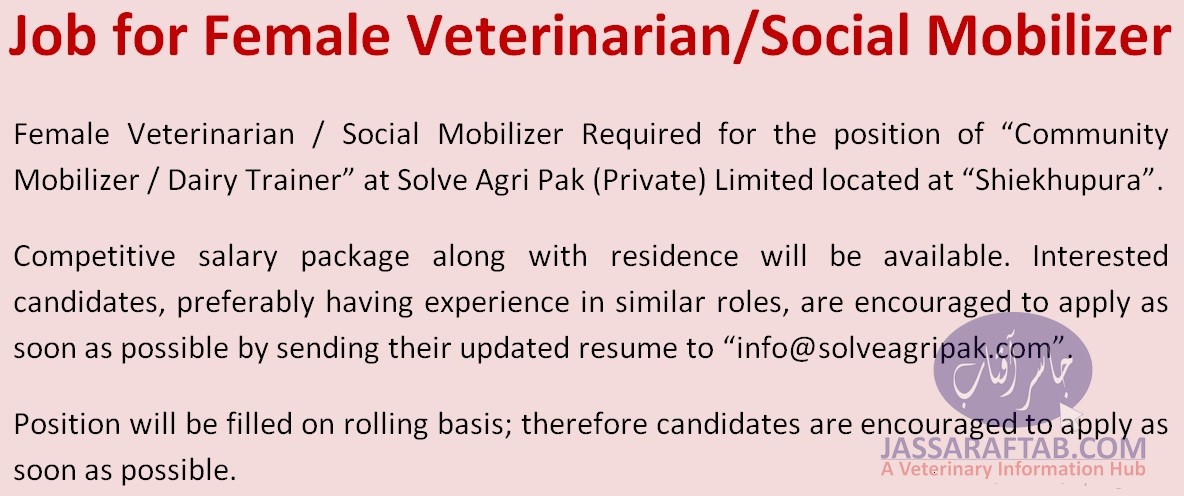 Lady Vets Jobs | Job Opportunity for Lady Vets