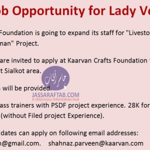 Female Vet Jobs | Job opportunities for lady vets