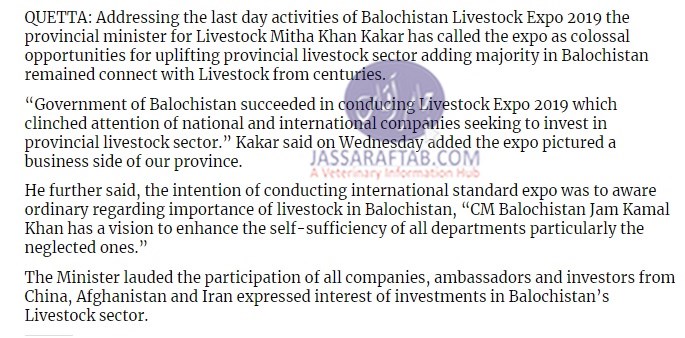 Balochistan livestock expo