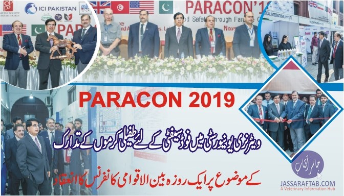 PARACON Conference UVAS