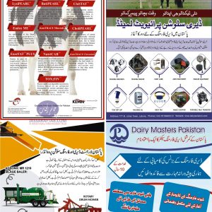 Dairy Machinery Consultancies Companies