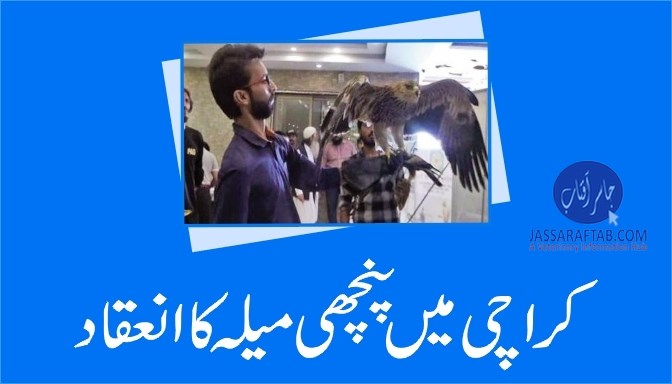 کراچی میں پنچھی میلہ کا انعقاد
