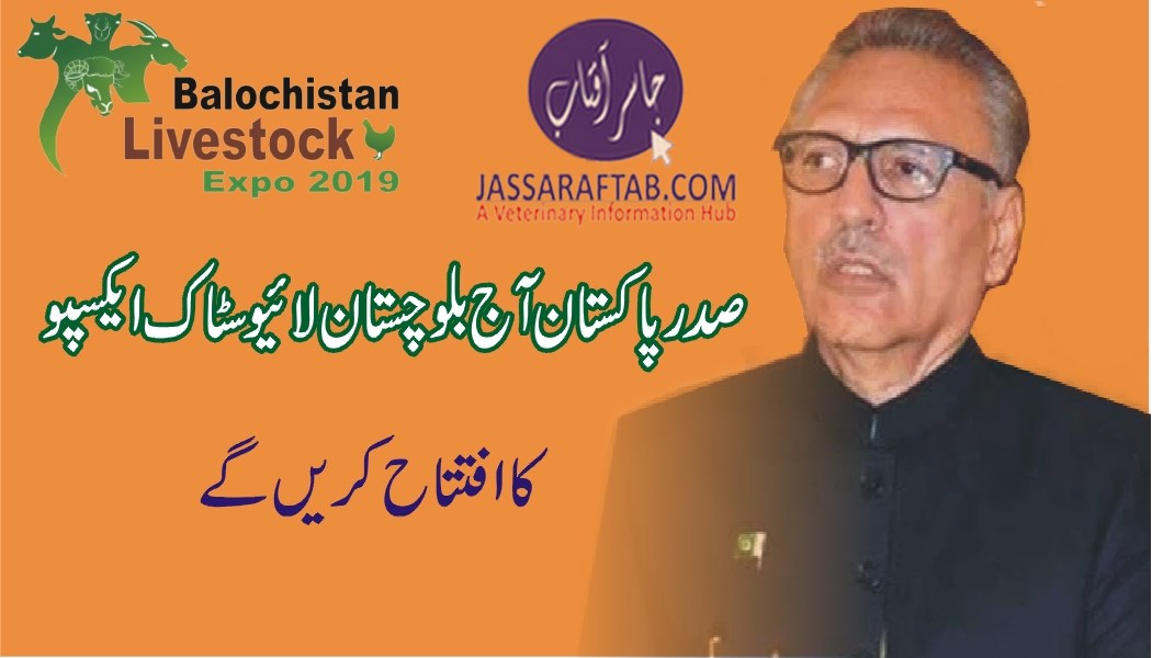 President of Pakistan will address livestock expo
