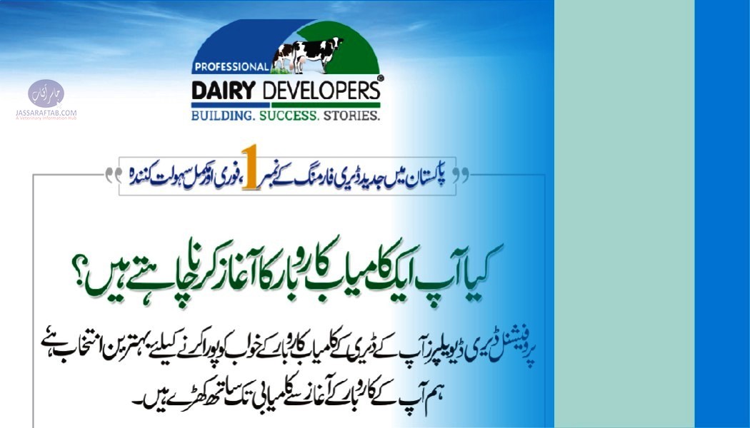 Professional Dairy Developers - Dairy and Livestock Shed Construction Construction