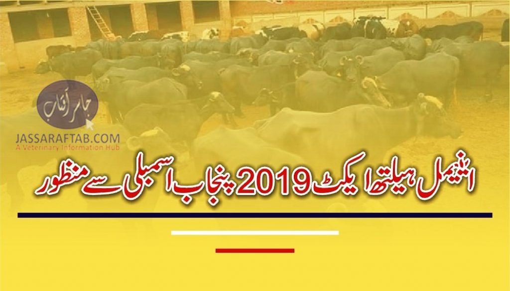Punjab animal health act 2019