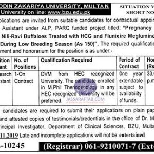 Research assistant job for veterinary professionals