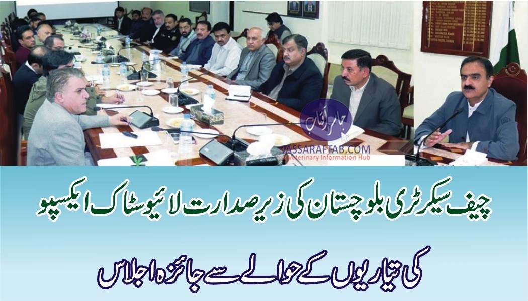 چیف سیکرٹری بلوچستان کی زیرصدارت لائیوسٹاک ایکسپو کی تیاریوں کے حوالے سے جائزہ اجلاس