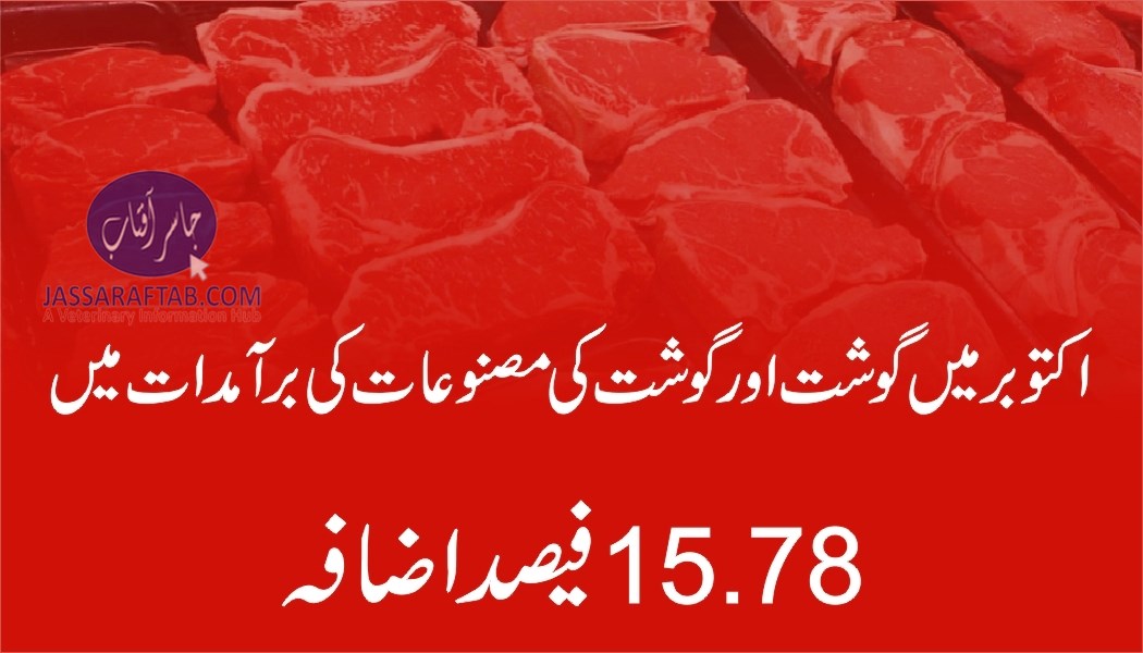 گوشت اور گوشت کی مصنوعات کی برآمدات میں  15.78فیصد اضافہ