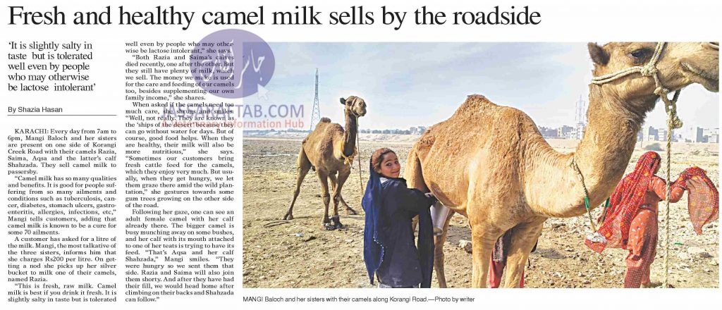 Camel milk