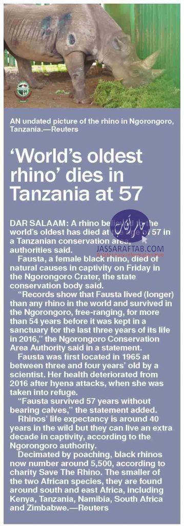 World oldest rhino died