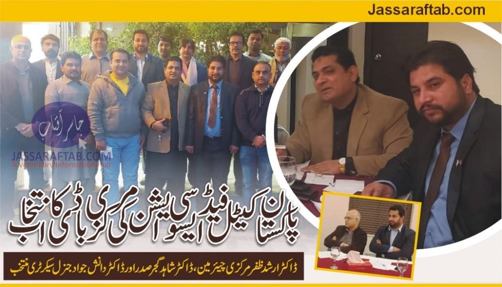 cattle feed association pakistan