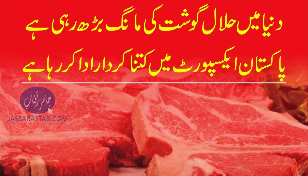 دنیا میں حلال گوشت کی مانگ بڑھ رہی ہے، پاکستان ایکسپورٹ میں کتنا کردار ادا کر رہاہے