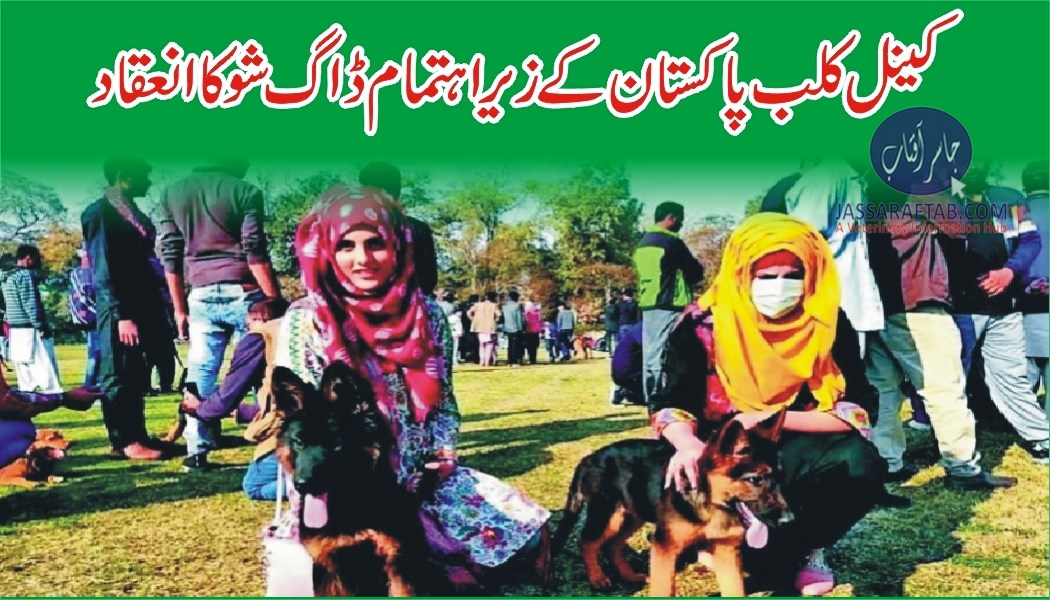 PKC ALL breed championship dog show Faisalabad