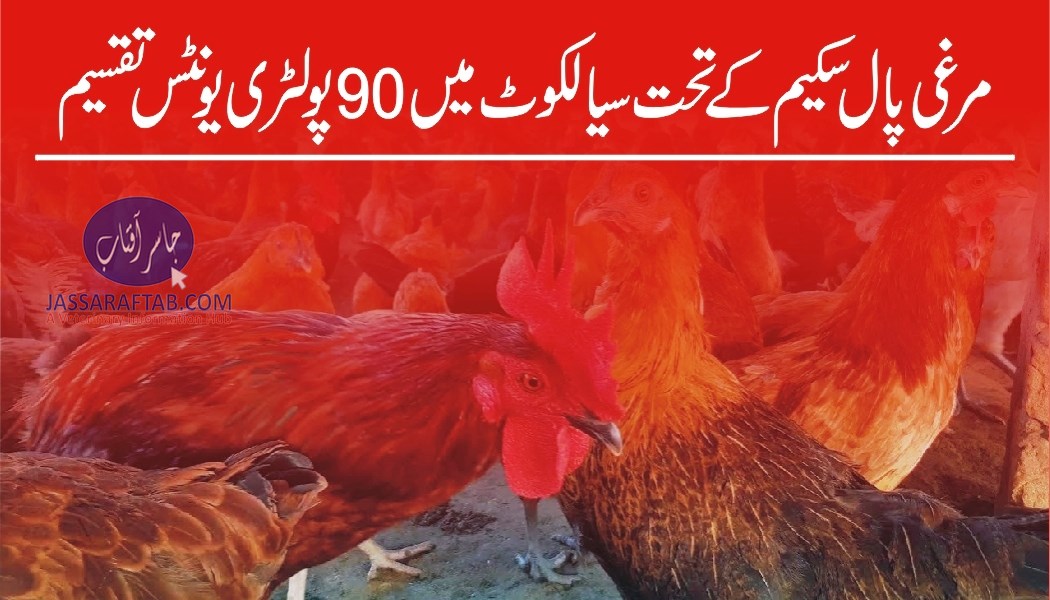 Poultry units distribution in Sialkot
