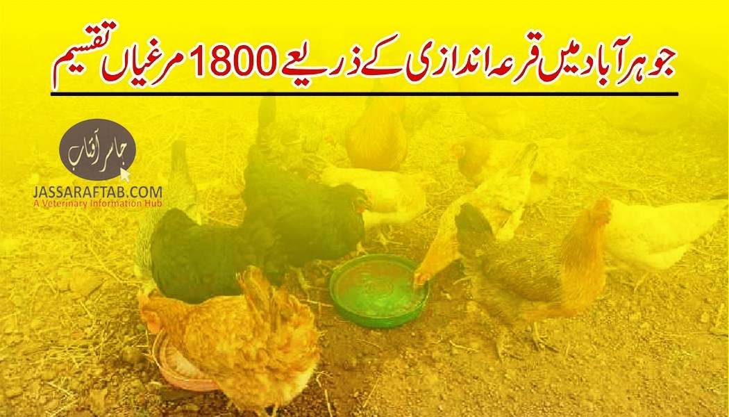 Poultry units distribution