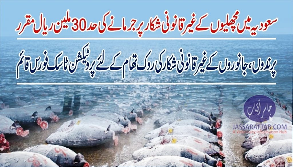 Heavy fine imposed on illegal fishing and hunting in KSA