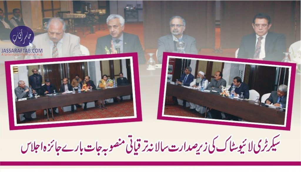 Review meeting regarding annual development projects