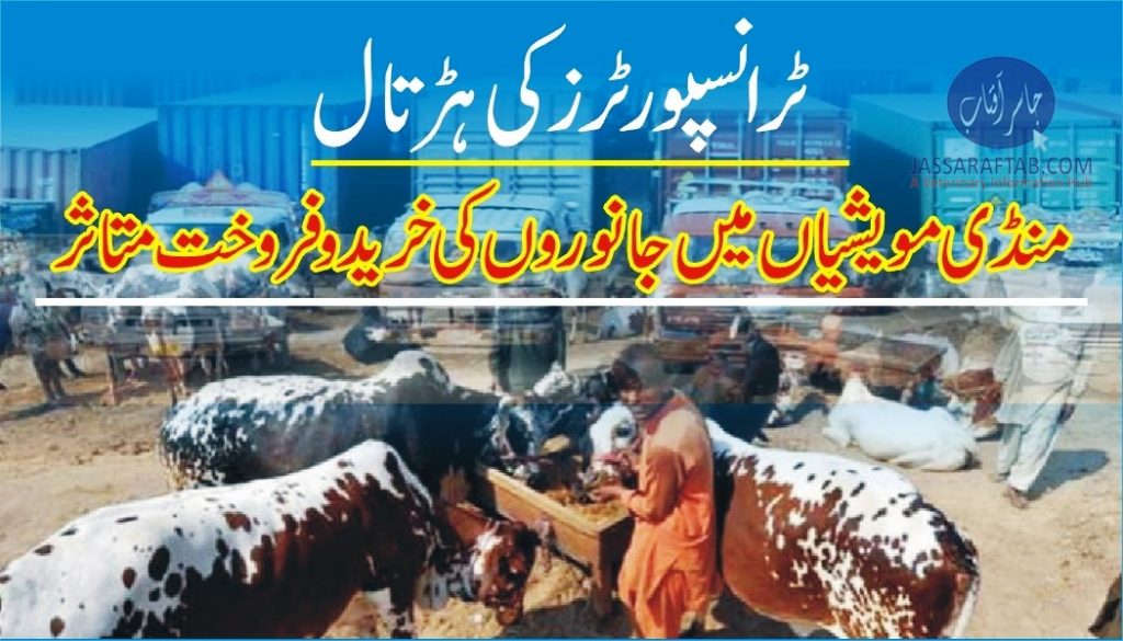 Cattle market