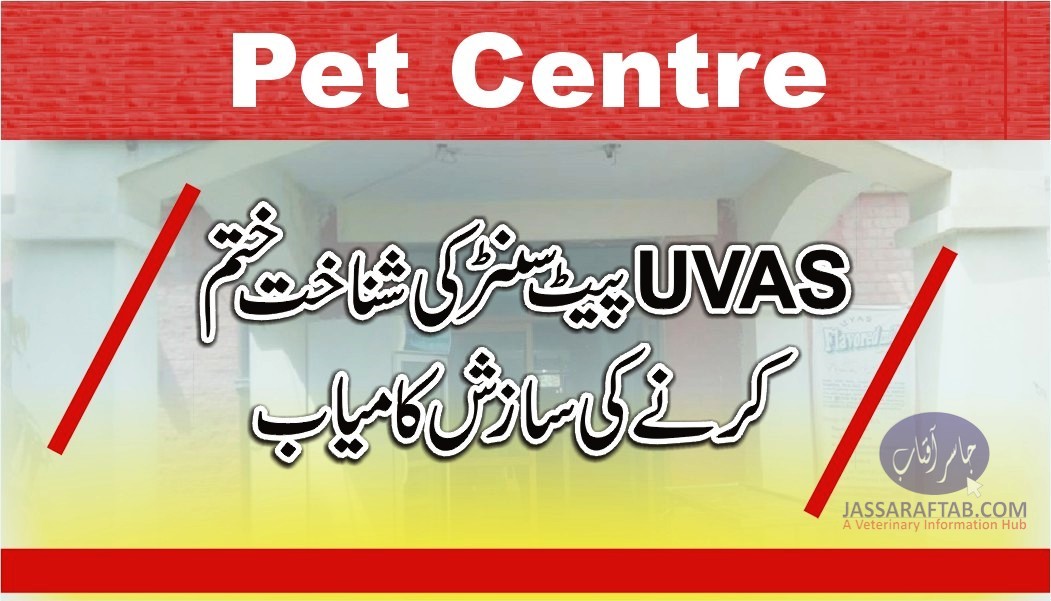 Pets clinic and hospital of UVAS