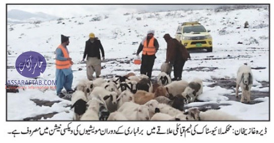 Vaccination of animals in tribal areas
