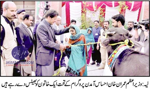 Imran KhanImran Khan distributed animals in Layyah