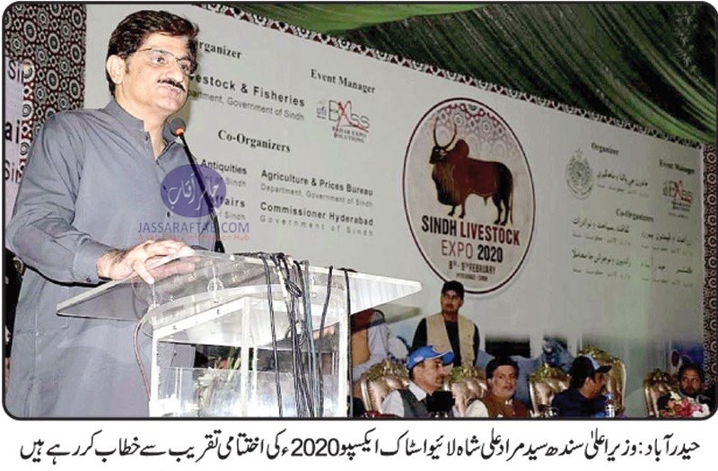 CM Sindh Murad Ali Shah addressed Sindh Livestock Expo