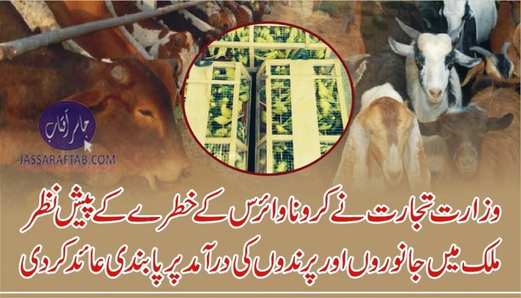 Ban on the import of animals and import of birds