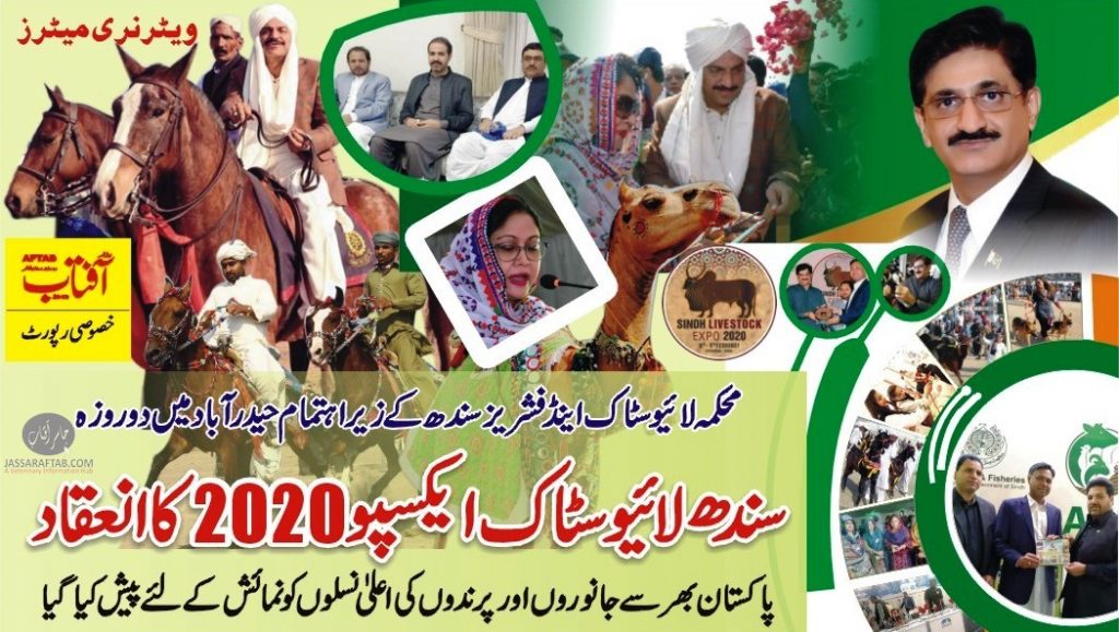 Sindh Livestock Expo 