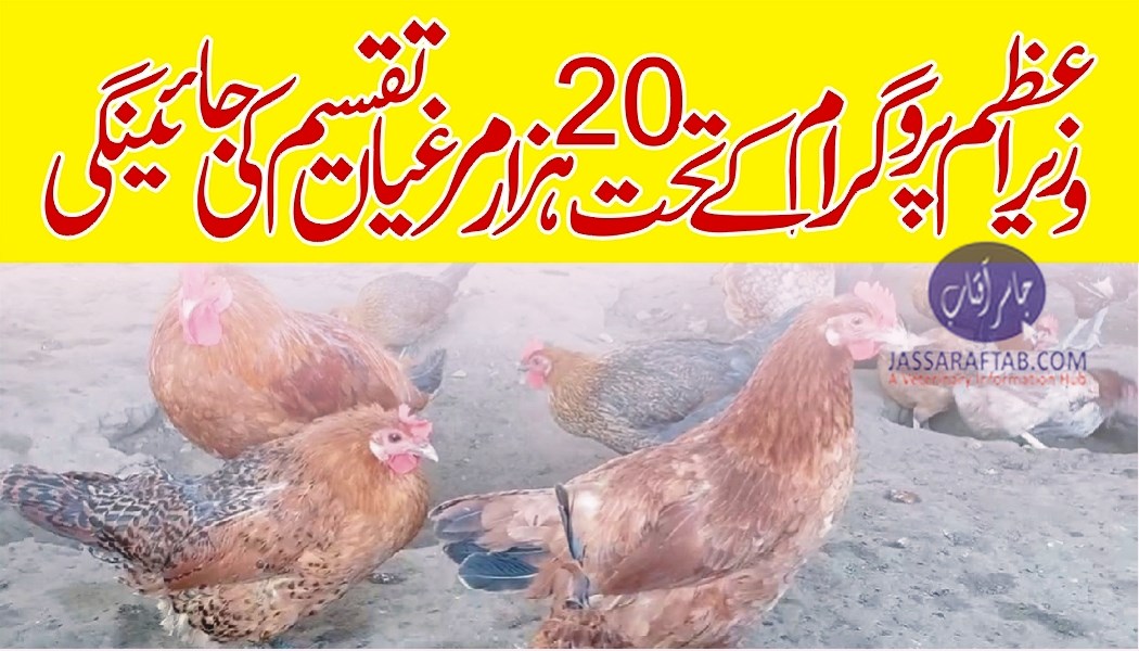 وزیراعظم پروگرام کے تحت 20 ہزار مرغیاں تقسیم کی جائینگی