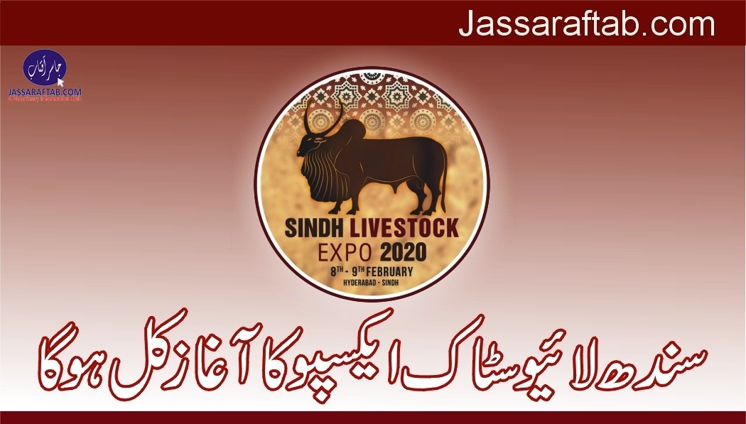 Sindh livestock expo to be inaugurated on Feb 8
