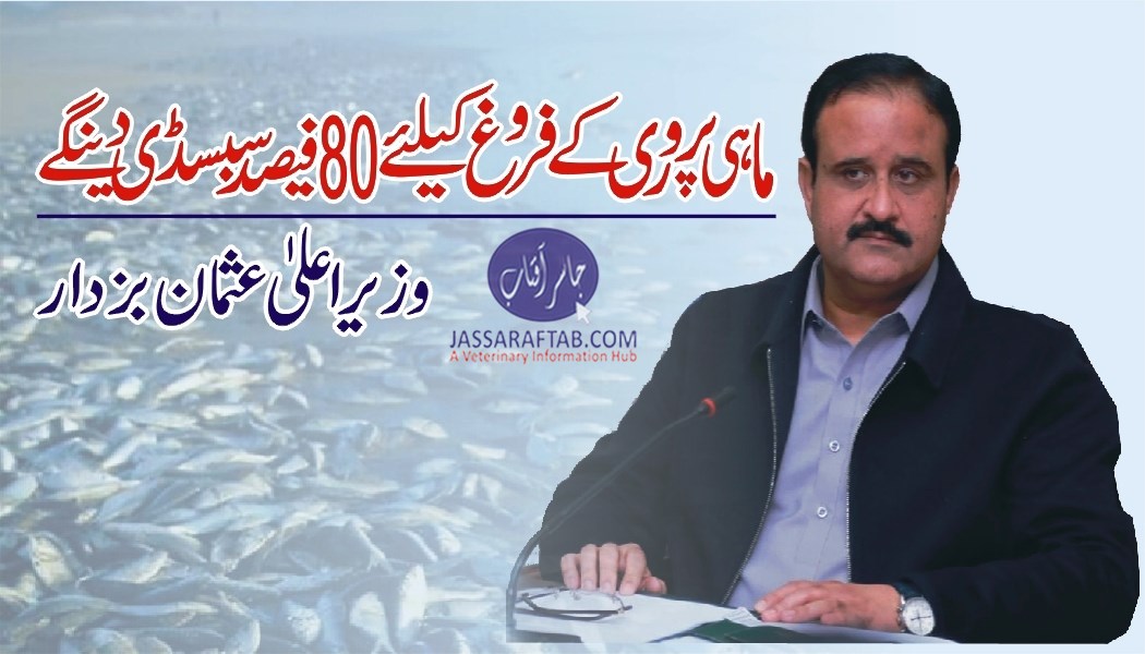Punjab government will provide 80 per cent subsidy for fish farming