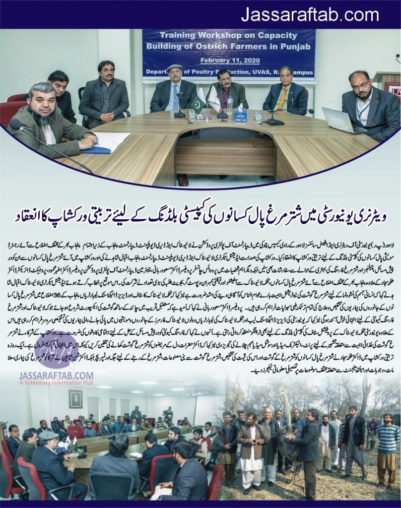 Training workshop on capacity building of ostrich farmers